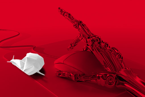 caracolrojo diseño y comunicación