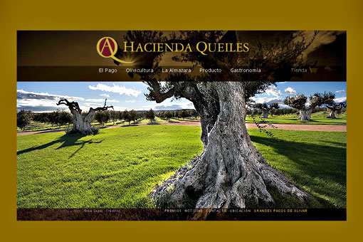 hacienda queiles